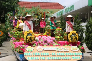Chi&ecirc;m ngưỡng tuyệt t&aacute;c tr&aacute;i c&acirc;y tr&ecirc;n n&oacute;c nh&agrave; Nam bộ- Ảnh 20.