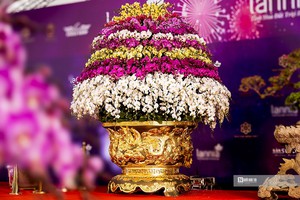 Cận cảnh chậu lan hồ điệp lớn nhất Việt Nam chào giá gần 4 tỷ đồng