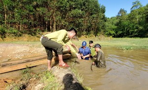 Chặt cây rừng về làm quan tài, 2 hộ dân bị phạt 10 triệu đồng