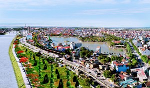 “Thủ phủ hoa kiểng miền Tây” tất bật chăm hoa, đón cơ hội kép dịp cuối năm- Ảnh 7.