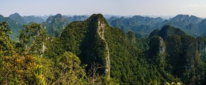 Công tác quản lý bảo vệ rừng tại VQG luôn được xác định là nhiệm vụ trọng tâm hàng đầu