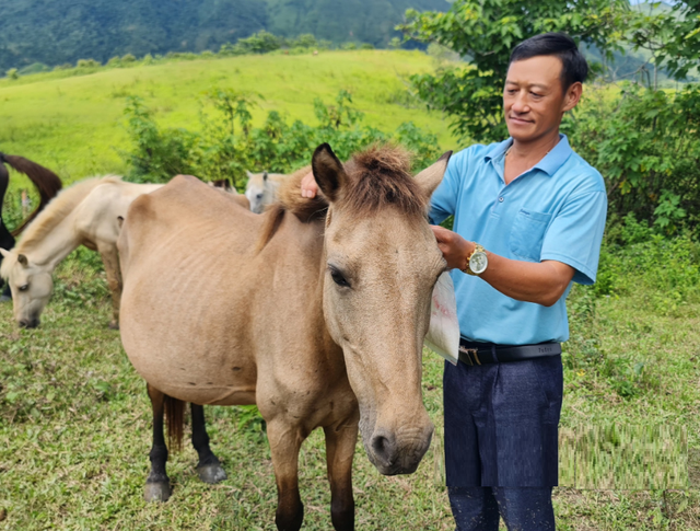 "Phát tài" nhờ nuôi con "siêu khổng lồ", anh nông dân nhẹ nhàng đút túi 1,6 tỷ đồng/năm- Ảnh 1.