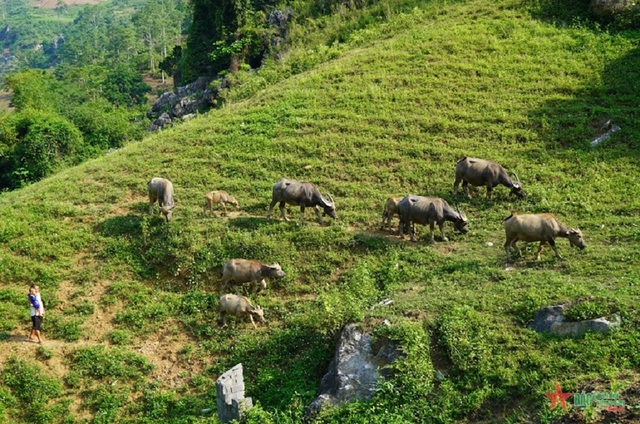 "Phát tài" nhờ nuôi con "siêu khổng lồ", anh nông dân nhẹ nhàng đút túi 1,6 tỷ đồng/năm- Ảnh 4.