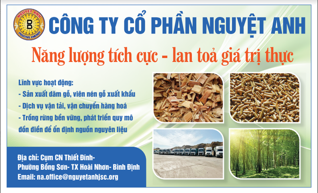 Tập đoàn Nguyệt Anh kiến tạo môi trường xanh, sản xuất đi đôi với phát triển bền vững- Ảnh 1.