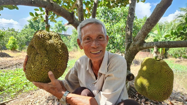 Ở nhà trồng 1 loại cây "quý như vàng", khách tranh nhau mua, ông nông dân nhẹ nhàng kiếm 1 tỷ đồng- Ảnh 1.