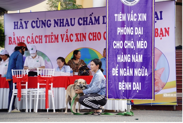 Bình Thuận: 9 người tử vong vì bệnh dại trong 10 tháng đầu năm 2024- Ảnh 4.