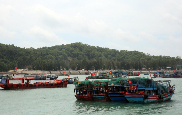 Quảng Ninh: Sớm đưa khu neo đậu tránh trú bão tại đảo Cô Tô vào hoạt động- Ảnh 1.