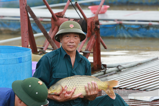 Từ đôi bàn tay trắng, ông nông dân bỏ túi 10 tỷ đồng/năm nhờ nuôi con "hiền lành, mắn đẻ"- Ảnh 1.