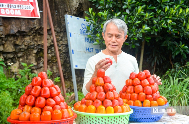 Rực rỡ mùa hồng trên cao nguyên- Ảnh 1.