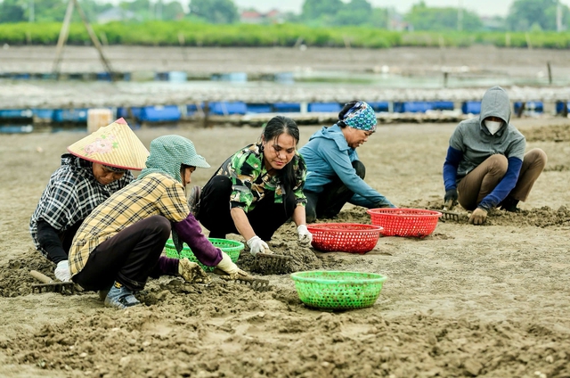 Từ đôi bàn tay trắng, bà nông dân kiếm 150 tỷ đồng/năm nhờ nuôi con "hiền như cục đất"- Ảnh 2. Từ đôi bàn tay trắng, bà nông dân kiếm 150 tỷ đồng/năm nhờ nuôi con "hiền như cục đất"- Ảnh 2.