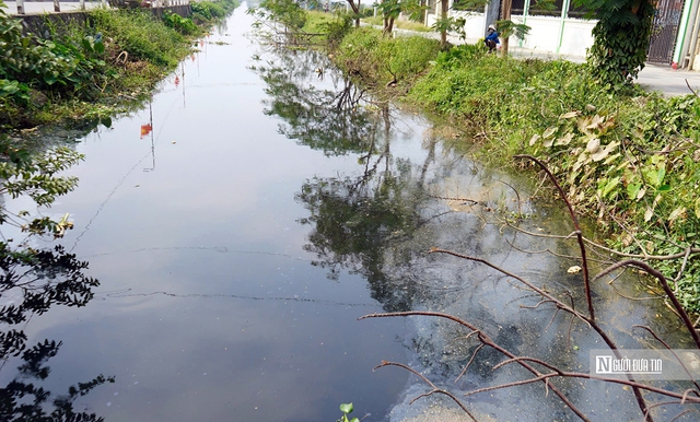 Chợ đầu mối thủy sản lớn nhất Hải Phòng “bức tử” kênh thủy lợi- Ảnh 1.