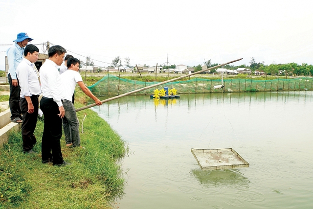 Giảm nghèo bền vững ở Phú Vang: Không để ai bị bỏ lại phía sau!- Ảnh 4.