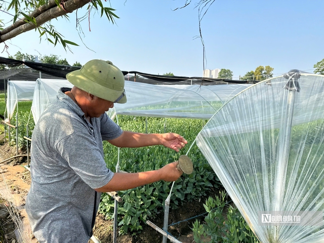 Làng hoa ảm đạm chờ mùa Tết- Ảnh 2.