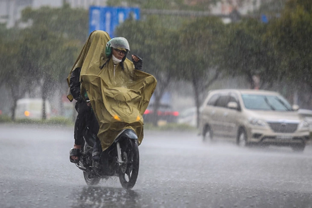 Dự báo thời tiết ngày 12/12: Miền Bắc không khí lạnh tăng cường có nơi chỉ 10 độ C- Ảnh 1.