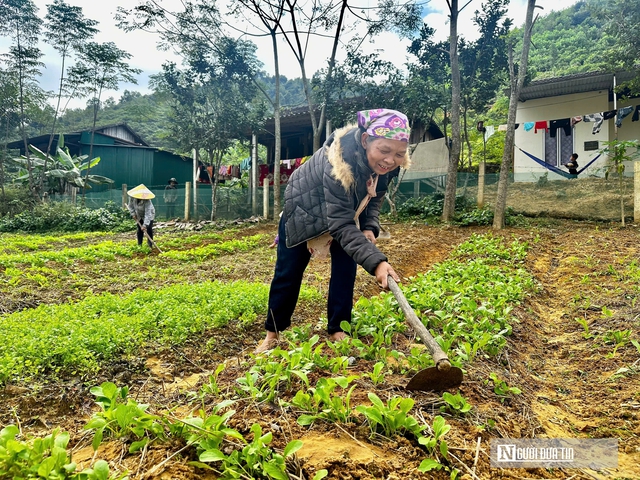 Những vườn rau tại Bản Rào Tre- Ảnh 1.