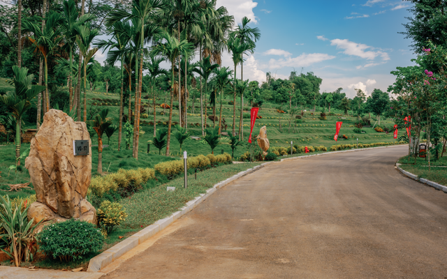 Độc đáo những cung đường mang tên các loài “hoa” ở LAMORI- Ảnh 1.