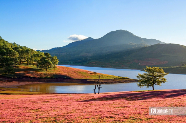 Chiêm ngưỡng Đà Lạt qua "Những sắc màu thành phố ngàn hoa"- Ảnh 3.