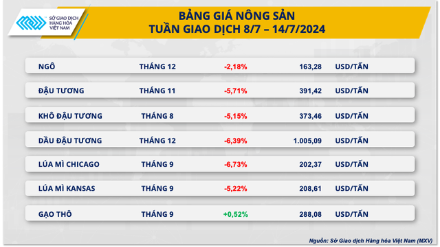 Giá cà phê tiếp tục tạo đỉnh lịch sử mới- Ảnh 1.