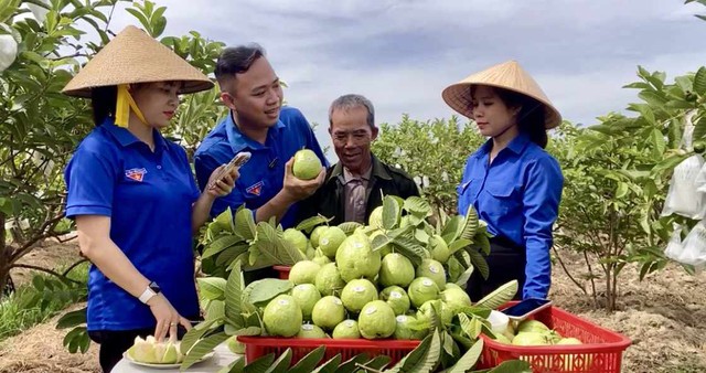 tiktoker,huế,cám ơn