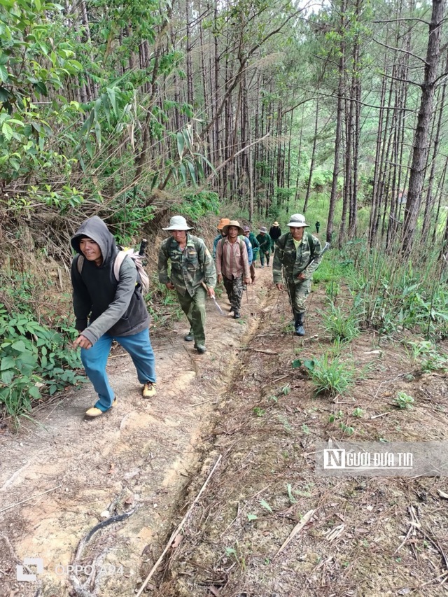 Quỹ bảo vệ và phát triển rừng tỉnh Gia Lai chi sai gần 31,5 tỉ đồng: Các Ban quản lý rừng nói gì?- Ảnh 1.