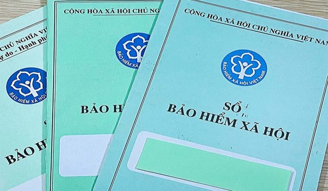 Tp.HCM: Nhiều doanh nghiệp chậm trễ đóng BHXH, có doanh nghiệp đóng chậm gần 43 tỷ đồng- Ảnh 1.