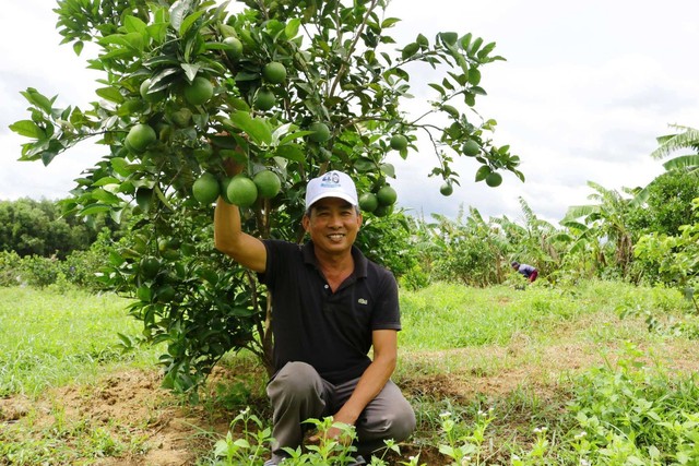 Mô hình kinh tế giúp cựu chiến binh thu hàng trăm triệu mỗi năm- Ảnh 1.