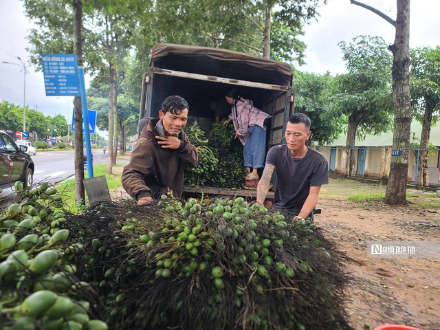 Chính sách nhân văn giúp hơn 200 người lầm lỗi ở Đắk Lắk làm lại cuộc đời- Ảnh 2.