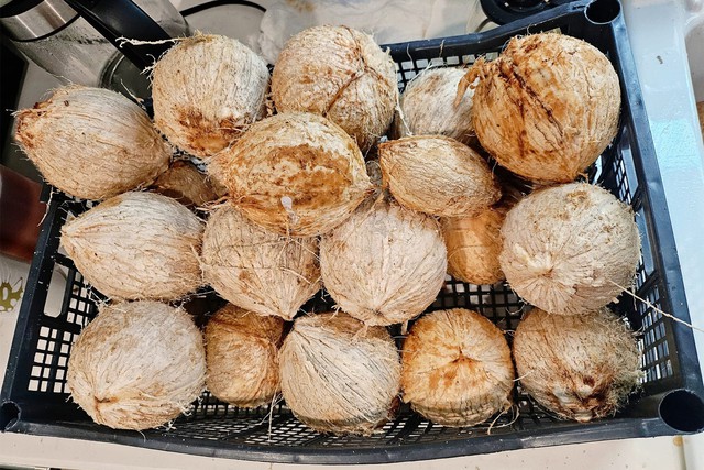 Ca sĩ Lê Uyên Nhi