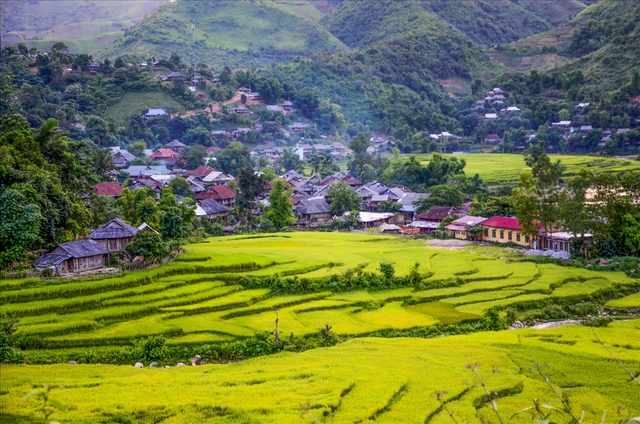 "Làn gió" mới từ chuyển đổi sản xuất nông nghiệp ở Điện Biên - Ảnh 2.