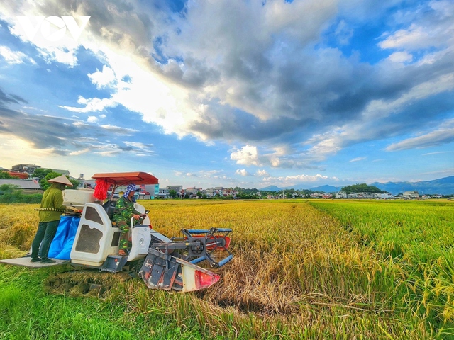 "Làn gió" mới từ chuyển đổi sản xuất nông nghiệp ở Điện Biên - Ảnh 1.