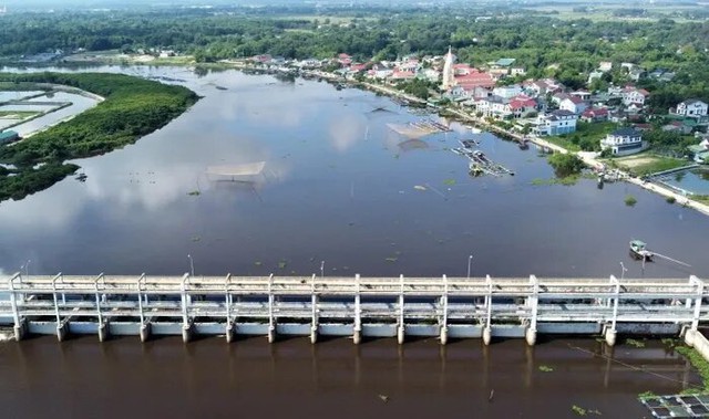 Ba học sinh dũng cảm cứu sống 2 em nhỏ bị đuối nước- Ảnh 2.