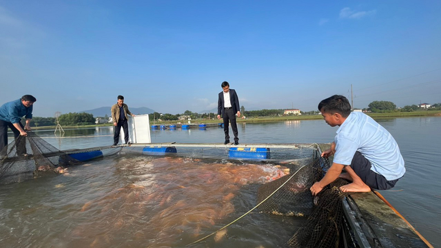 Nuôi con vật "hiền như đất" mê bơi lội, ông nông dân kiếm 5 tỷ đồng/năm- Ảnh 5.