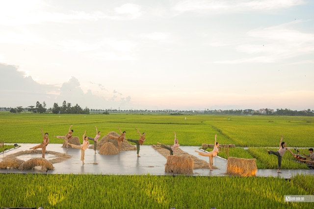 Thành phố Hội An, nổi tiếng với những biểu tượng như Đêm rằm Phố cổ, Chùa Cầu, bãi biển và rừng dừa, nay sẽ đem đến cho du khách một trải nghiệm hoàn toàn mới mẻ. Vở diễn "Rơm" không chỉ giới thiệu cảnh sắc làng quê, cánh đồng lúa chín vàng rực rỡ, mà còn mang lại cơ hội để khán giả cảm nhận trọn vẹn hương vị, sắc màu và không khí của mùa gặt. Đặc biệt, đây là lần đầu tiên nghệ thuật múa đương đại được trình diễn ngay trên cánh đồng lúa bát ngát Hội An, nơi ánh hoàng hôn rực rỡ nhuốm màu cảnh vật, tạo nên một bức tranh thiên nhiên sống động.