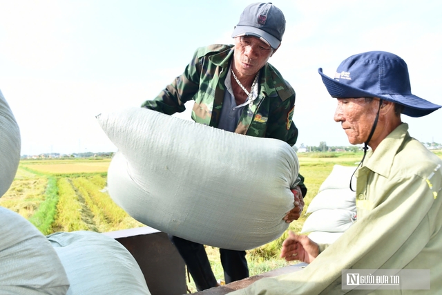 Lúa được mùa được giá nông dân phấn khởi vì có nơi thu lãi 35 triệu/ha- Ảnh 5.