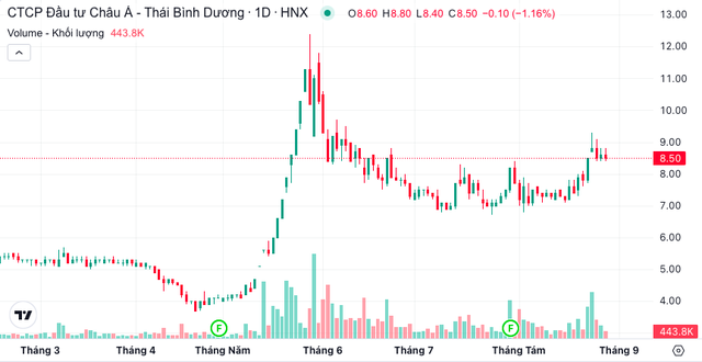 IDJ muốn mua 6 triệu cổ phiếu API- Ảnh 1.