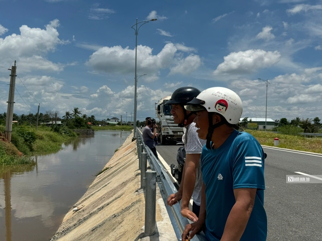 Người dân “khóc ròng” nhìn cảnh hàng nghìn trụ thanh long chìm trong biển nước trước ngày thu hoạch- Ảnh 3.