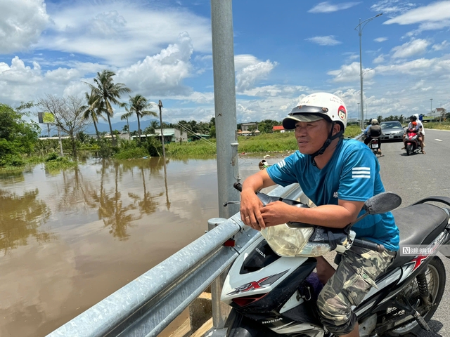 Người dân “khóc ròng” nhìn cảnh hàng nghìn trụ thanh long chìm trong biển nước trước ngày thu hoạch- Ảnh 5.