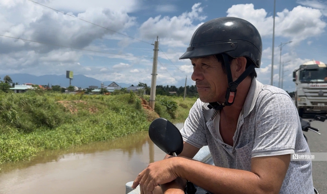 Người dân “khóc ròng” nhìn cảnh hàng nghìn trụ thanh long chìm trong biển nước trước ngày thu hoạch- Ảnh 4.