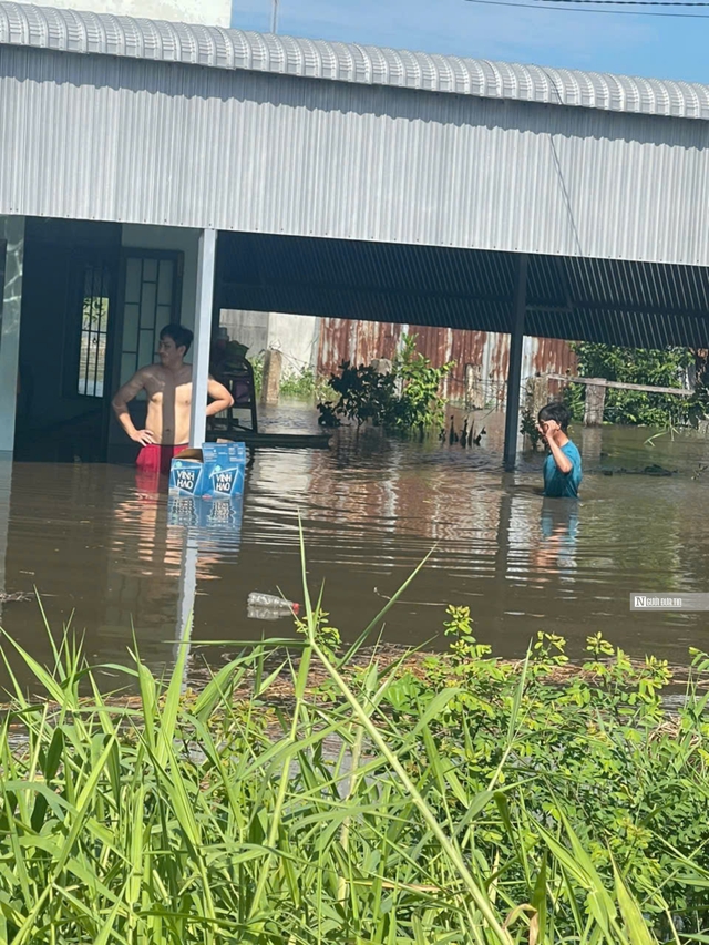 Bình Thuận: Gần 400 ha thanh long và hoa màu bị thiệt hại do ngập sâu trong biển nước- Ảnh 2.