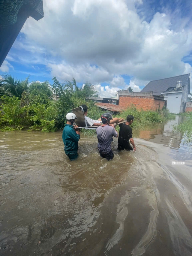 Bình Thuận: Gần 400 ha thanh long và hoa màu bị thiệt hại do ngập sâu trong biển nước- Ảnh 1.