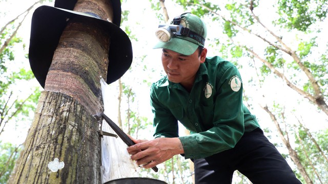 Giá nông sản 29/8: Nhãn hữu cơ giá cao, hồ tiêu duy trì ổn định- Ảnh 3.