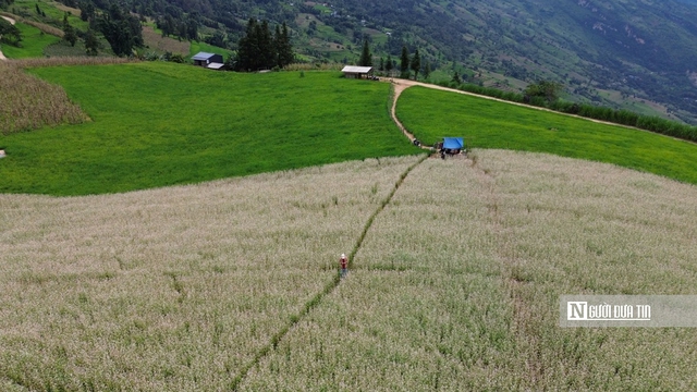 Khám phá “tiểu Thụy Sĩ” giữa lòng Hà Giang- Ảnh 2.