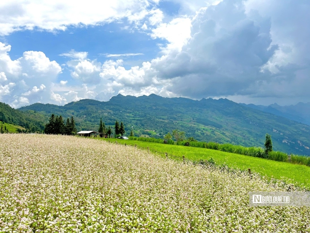 Khám phá “tiểu Thụy Sĩ” giữa lòng Hà Giang- Ảnh 5.