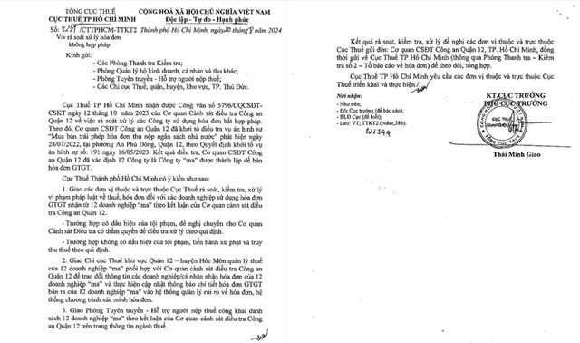 Cục Thuế Tp.HCM công bố 12 công ty “ma” bán hóa đơn GTGT trái phép- Ảnh 1.
