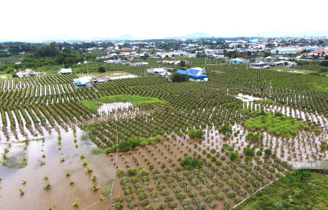 Bình Thuận: Huy động nhân công, máy móc khắc phục sạt lở ở đường 1.000 tỷ đồng- Ảnh 7.