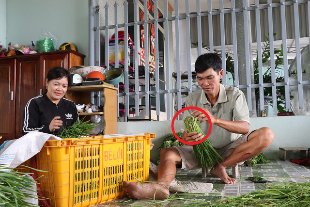 Có mảnh đất làm "kế sinh nhai", đôi vợ chồng bác nông dân trồng cây này kiếm 30 triệu đồng rất nhẹ nhàng- Ảnh 2.