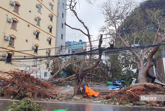 Đảo Cát Bà ngổn ngang sau bão số 3, hộ nuôi ngậm ngùi vớt cá chết- Ảnh 8.