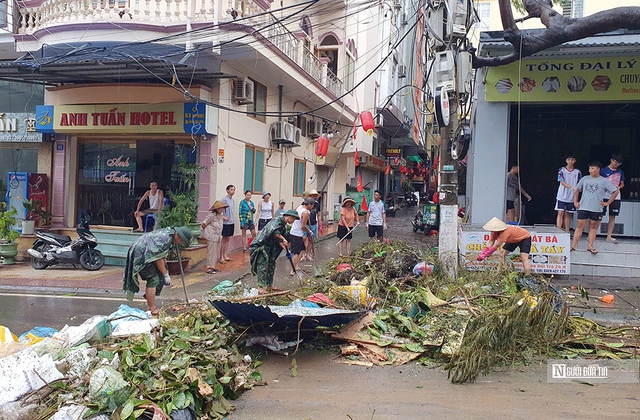 Đảo Cát Bà ngổn ngang sau bão số 3, hộ nuôi ngậm ngùi vớt cá chết- Ảnh 5.