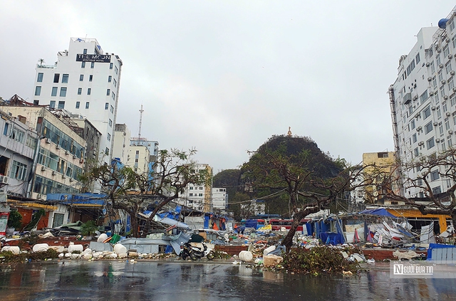 Đảo Cát Bà ngổn ngang sau bão số 3, hộ nuôi ngậm ngùi vớt cá chết- Ảnh 1.