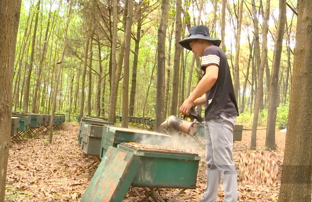 Anh nông dân nuôi con "cần cù", nhẹ nhàng thu hàng trăm triệu mỗi năm- Ảnh 4.